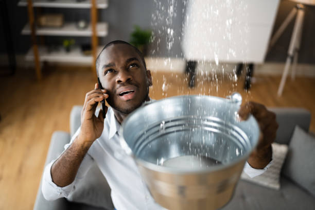 Best Water damage contractors near me  in USA